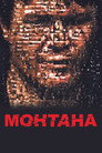 Poster for Монтана