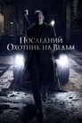 Poster for The Last Witch Hunter