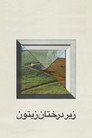 Poster for Through the Olive Trees