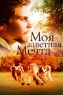 Poster for Lessons of a Dream