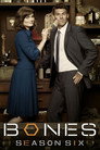 Poster for season 6 of Кости