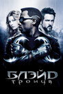 Poster for Blade: Trinity
