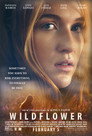 Poster for Дикий цветок