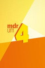 Poster for season 15 of МЛУ гм 4