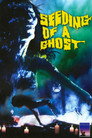 Poster for Seeding of a Ghost