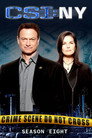 Poster for season 8 of CSI: Место преступления Нью-Йорк