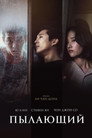 Poster for Burning