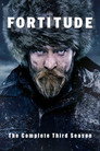 Poster for season 3 of Фортитьюд