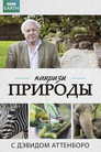 Poster for David Attenborough's Natural Curiosities