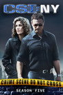 Poster for season 5 of CSI: Место преступления Нью-Йорк