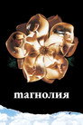 Poster for Магнолия