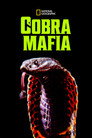 Poster for Кобра Мафия